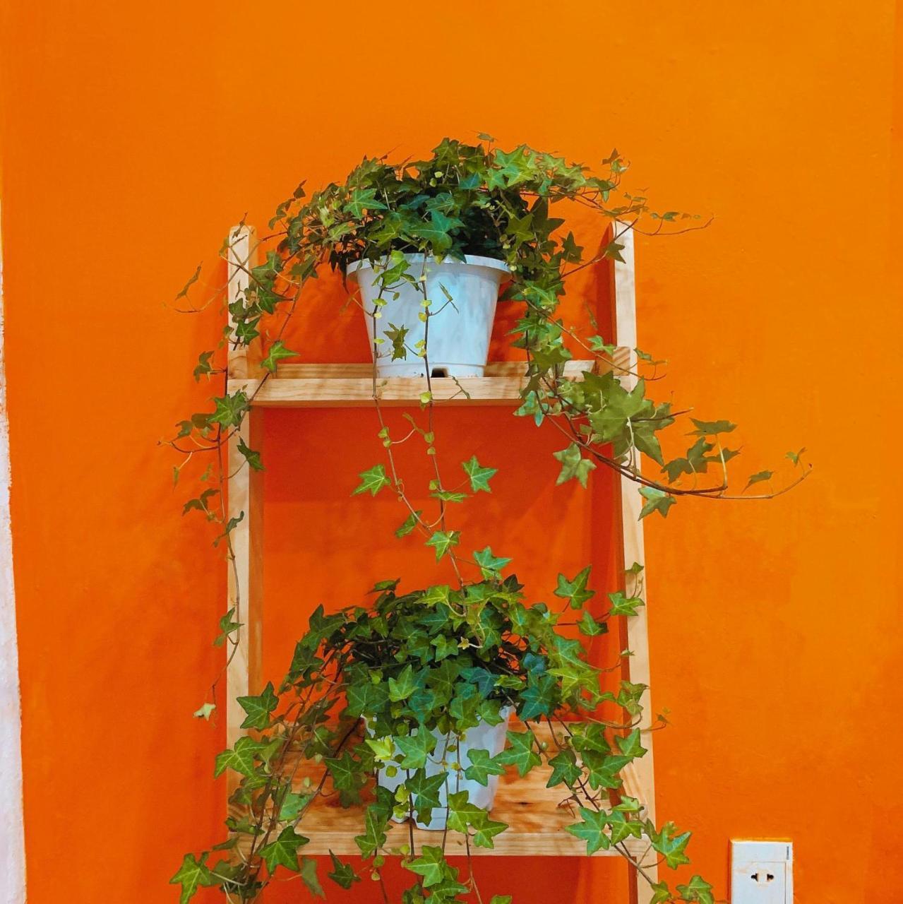 Summer Taste Homestay Ho Chi Minh City Exterior photo